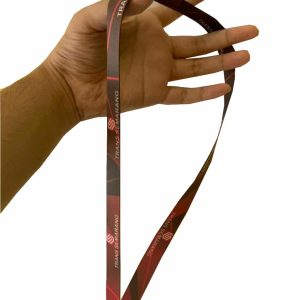 Display lanyard