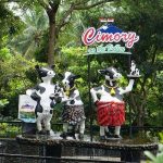 Wisata Semarang Cimory