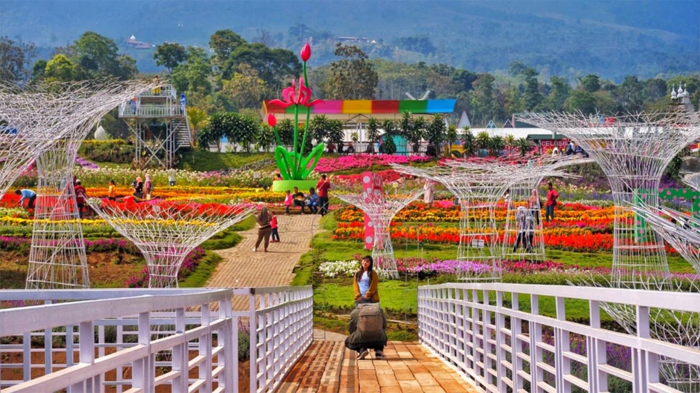 Taman Bunga Celosia Semarang