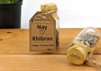 Souvenir Bibit Kangkung Menjadi Pilihan Unik dan Bermanfaat